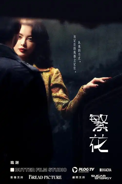 星辰高清影院 最新电影 热辣滚烫纪录片 4K高清版